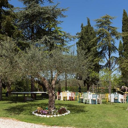 Bed&Breakfast Il Frantoio Misano Adriatico Eksteriør billede